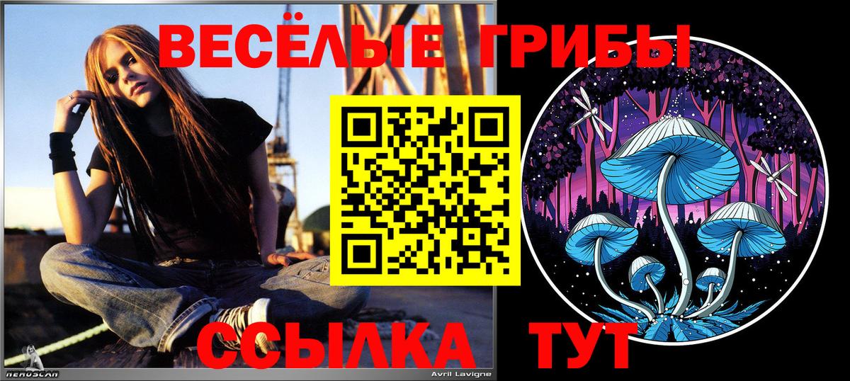 Галлюциногенные грибы GOLDEN TEACHER Пушкино