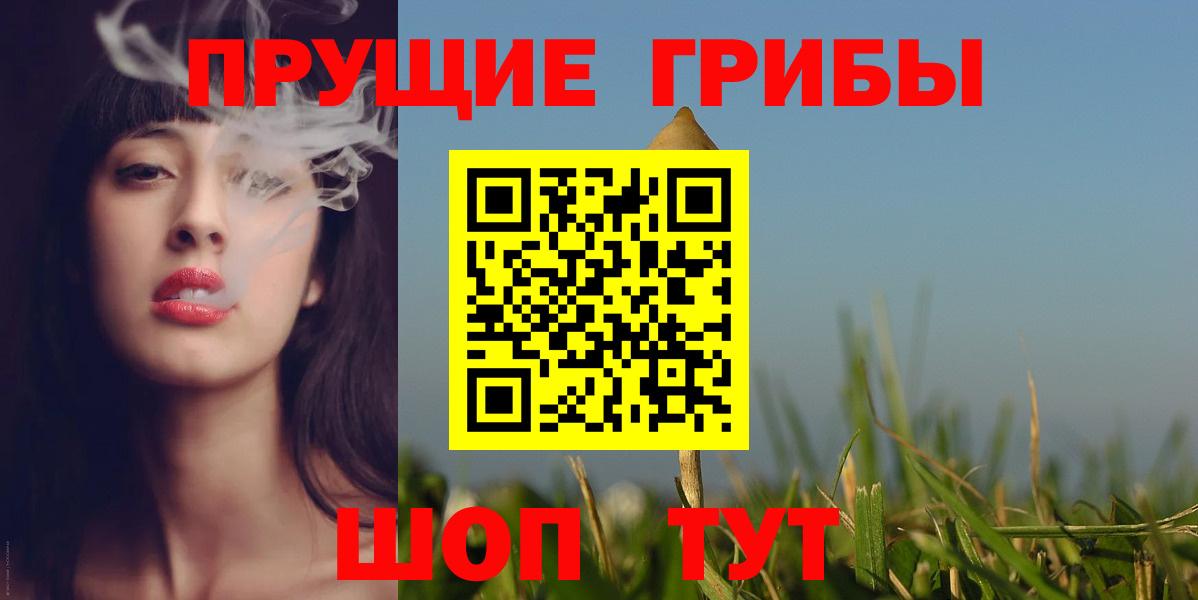 Галлюциногенные грибы GOLDEN TEACHER  Псилоцибиновые грибы прущие грибы  Вход с VPN  где купить наркоту  Пушкино 